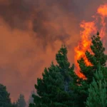 como actuar ante un incendio forestal