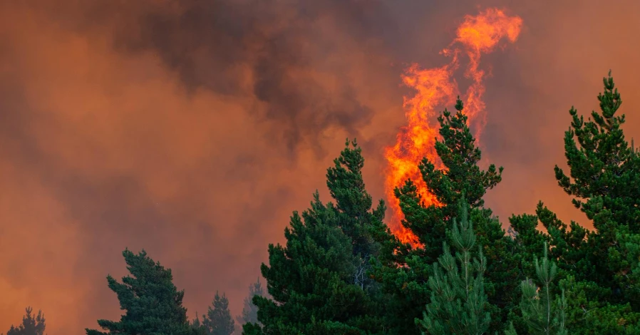 como actuar ante un incendio forestal
