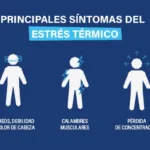 estrés térmico en el trabajo