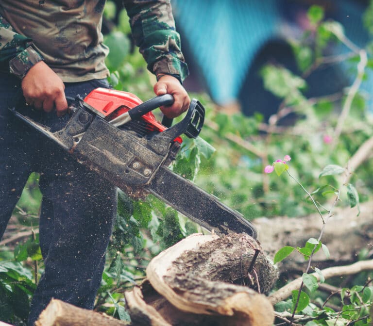 Trabajos para los que se recomienda usar chaquetas de seguridad forestal